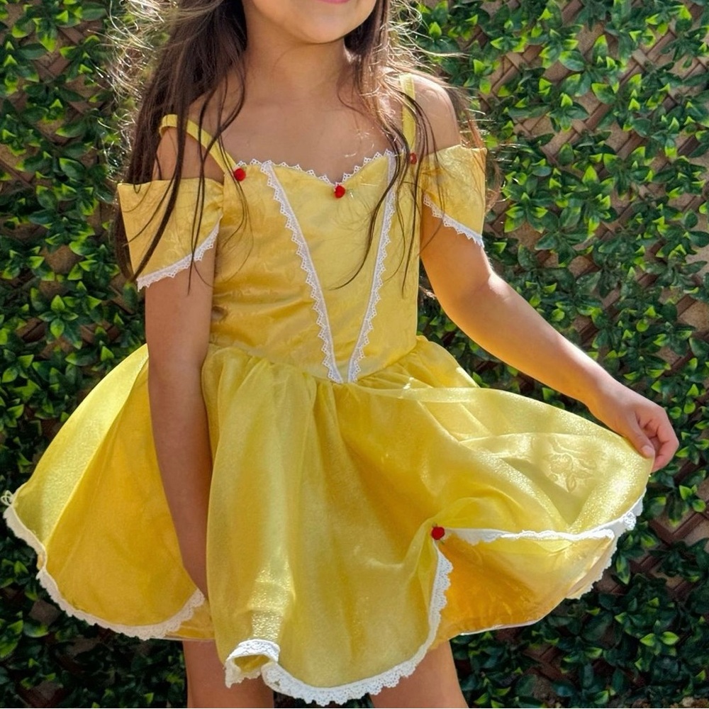Lu and Ro Princess Dress size 6y